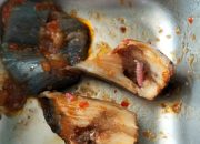 Kritikan Pedas untuk SPPG: Ulat dalam Sayur, Apa yang Terjadi?