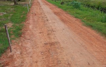 Pembangunan Timbun Tanah Merah di Desa Sungai Buaya yang Menghabiskan Anggaran Ratusan Juta Diduga Jadi Ladang Korupsi