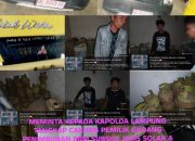 Penangkapan Wartawan di Tulang Bawang Disorot: Pelaku Penimbunan BBM Skala Besar Diduga Dilindungi Oknum