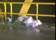 Diduga Mayat Dalam Karung di Jembatan Way Tipo Gunung Sugih Saat Hujan, Ternyata Diduga ODGJ Sedang Tidur