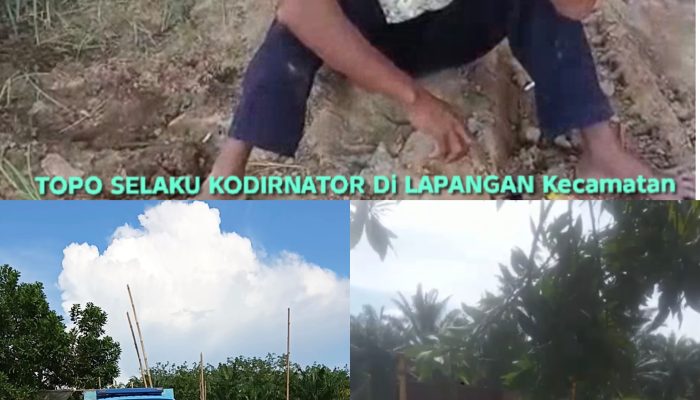 Tambang Pasir Ilegal 7 Tahun Beroperasi Terang-terangan di Tulang Bawang, Diduga Kebal Hukum